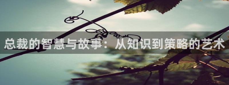 知轩藏书怎么下载：总裁的智慧与故事：从知识到策略的艺术