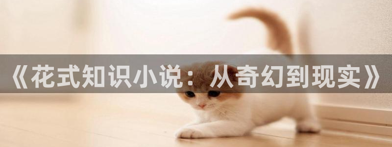zxcs知轩藏书：《花式知识小说：从奇幻到现实》